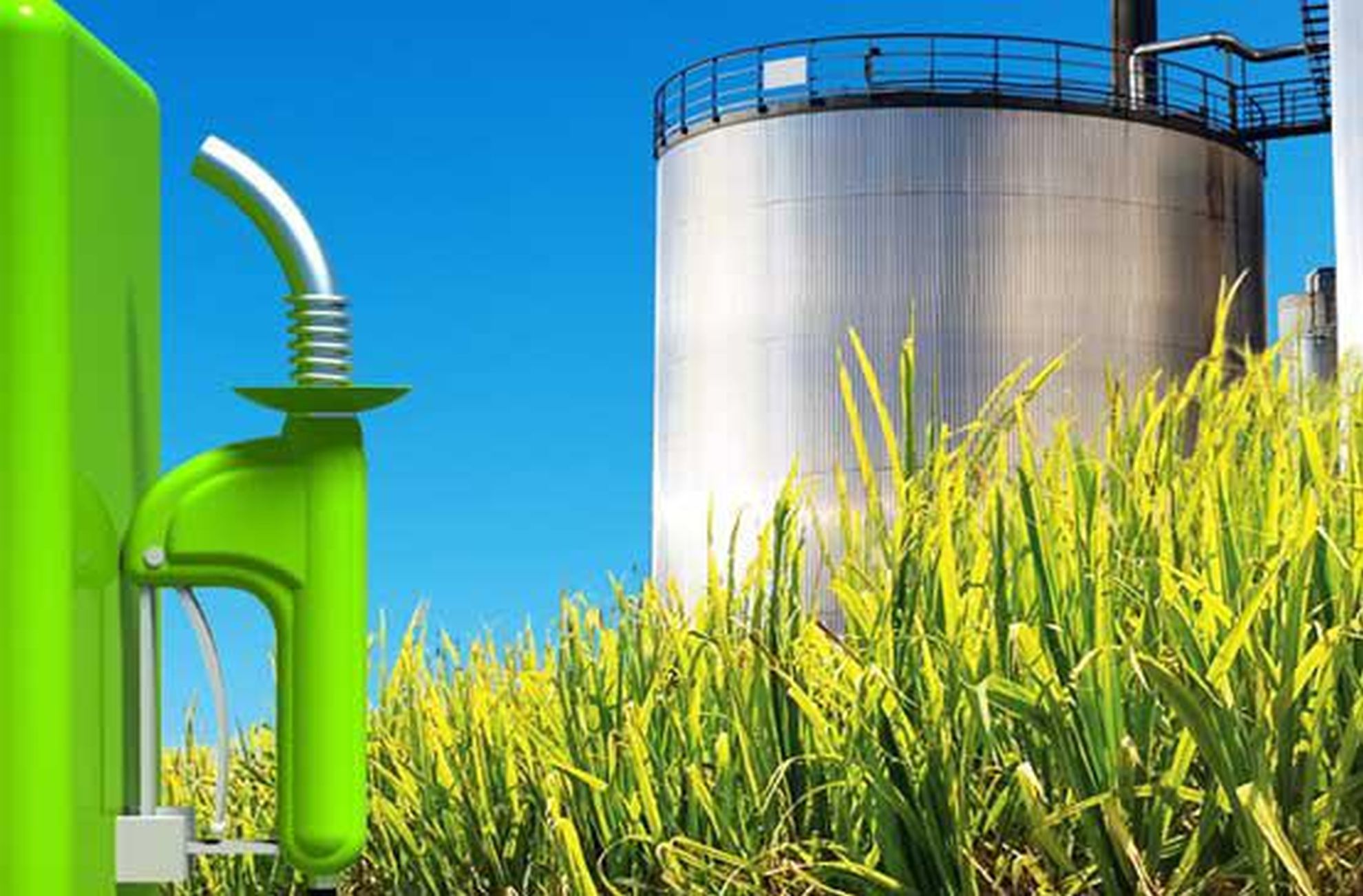 Biodiesel Abnehmer Biokraftstoffe Zucker Im Tank FYZQL