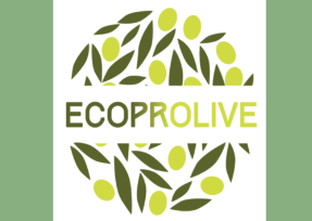 ECOPROLIVE PROJET